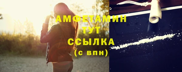 стафф Инта