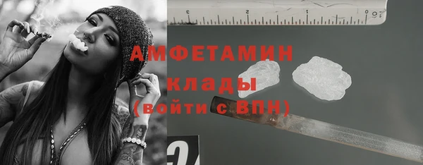 стафф Инта
