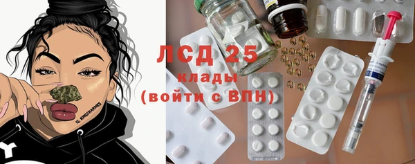 Альфа ПВП Инсар