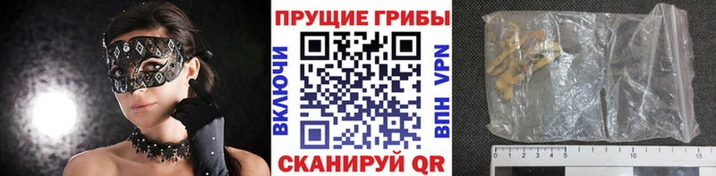 кракен онион  Клинцы  Псилоцибиновые грибы ЛСД 